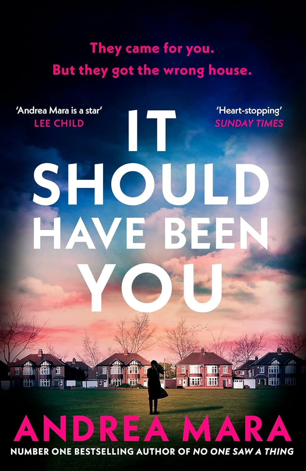 It Should Have Been You Review: Suburban Chaos Done Right