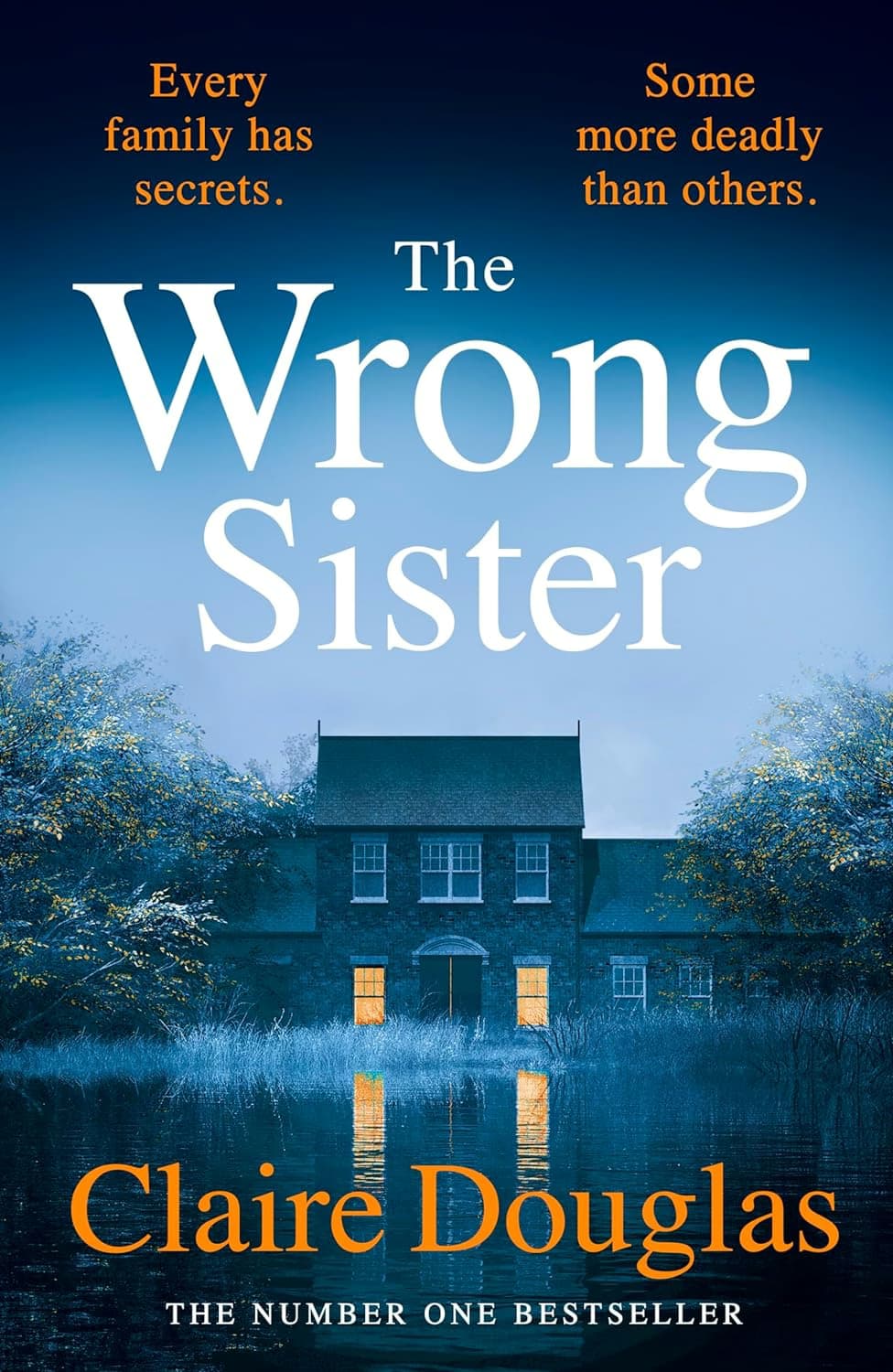 The Wrong Sister Review: Clever Twist Undermined