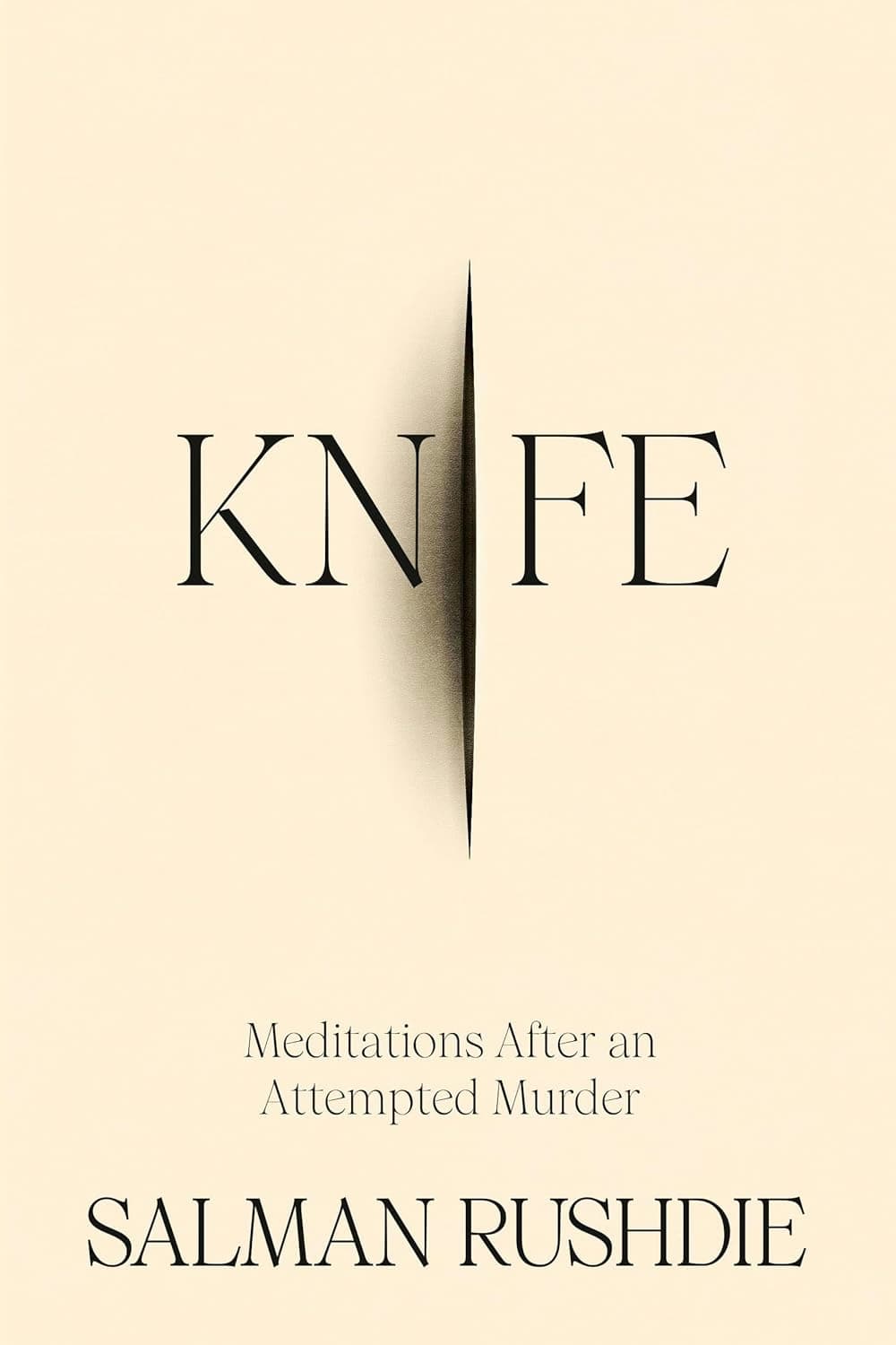 Knife: Meditations After an Attempted Murder Review
