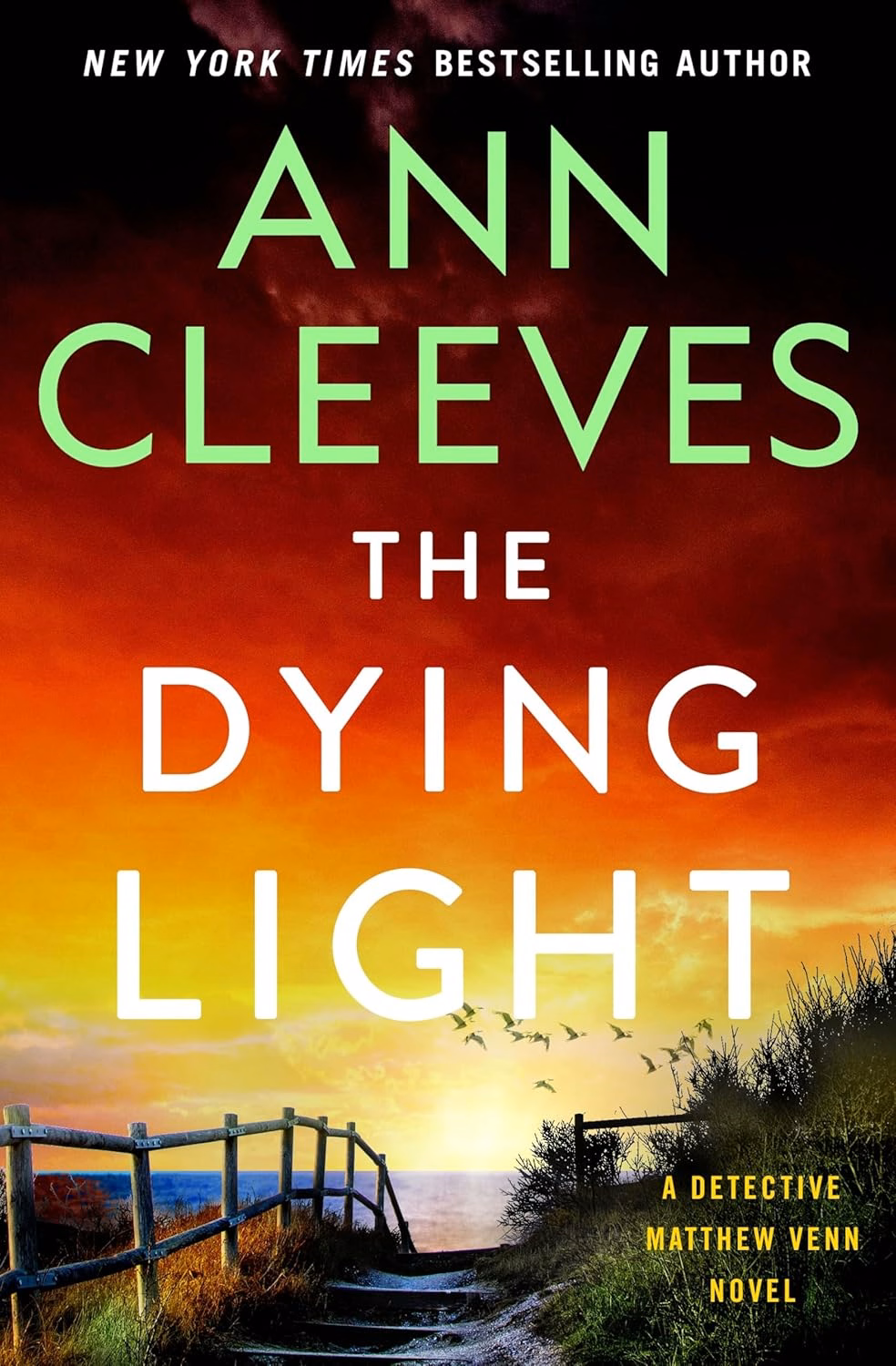The Dying Light Review: Cleeves Delivers Tense Mystery