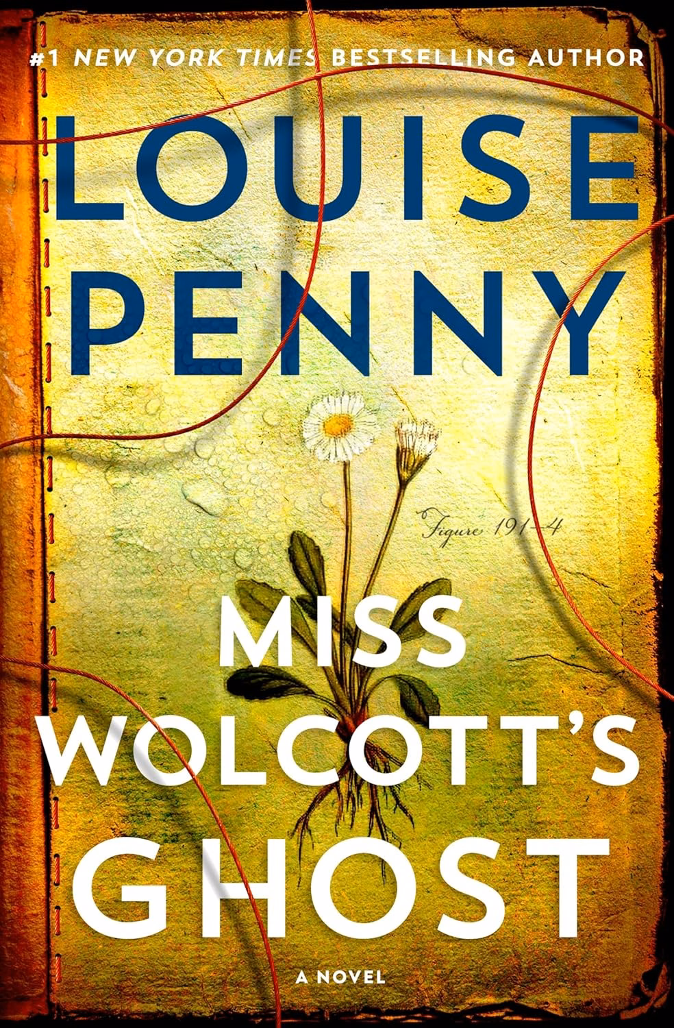 Miss Wolcott's Ghost Review: Penny's Return to Form